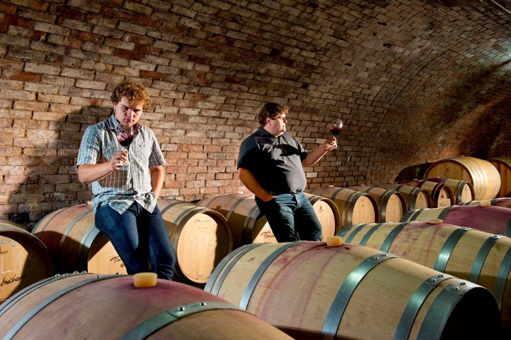 Weingut Forstreiter Keller mit Meinhard Forstreiter und Sohn bei Barriquefässer