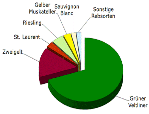 grape varieties