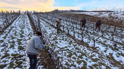Forstreiter News Februar 2021