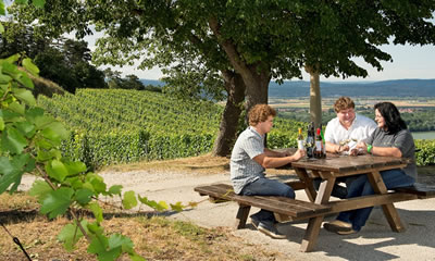 Weinfrühling 2021