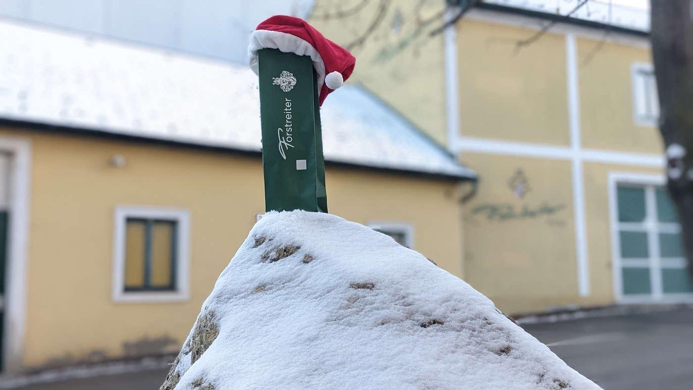 Weihnachtswuensche