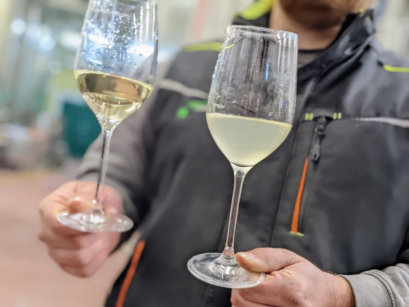 Ein Weißwein vor und nach der Filtration