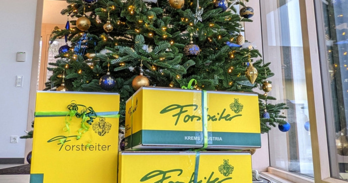 Weihnachtsgeschenke vor einem geschmückten Weihnachtsbaum