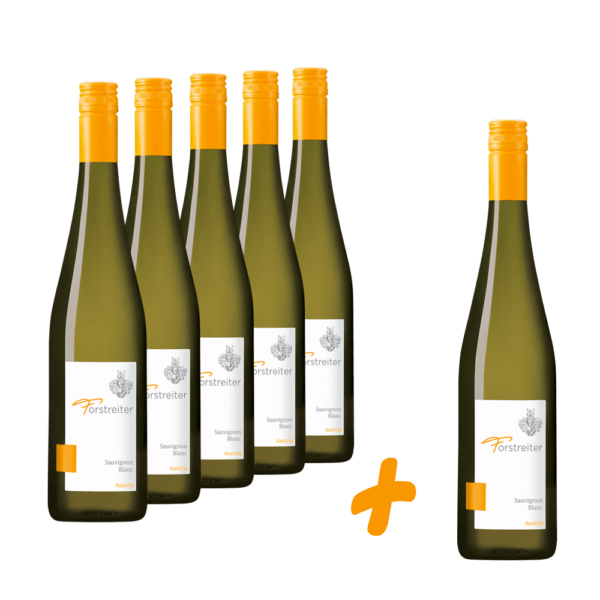 Sauvignon-Blanc-Aktion 5 plus 1