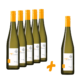 Sauvignon-Blanc-Aktion 5 plus 1